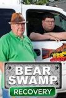 Bear Swamp Recovery
